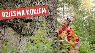 TUTAS LIETAS | Dziesma kokiem