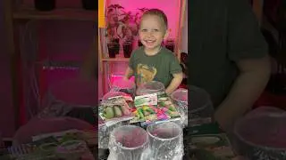2️⃣4️⃣ апреля посеяли огурцы на рассаду🥒