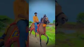 Horse lovers ❤️ || horse riding || 