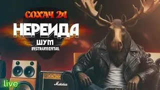 НЕРЕИДА - Шум. / г.Мончегорск, 12.10.24 /