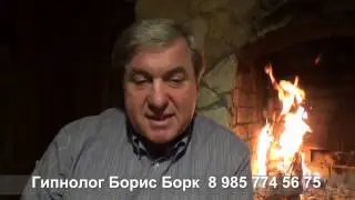 Гипнолог  Часть 2  Что можно получить