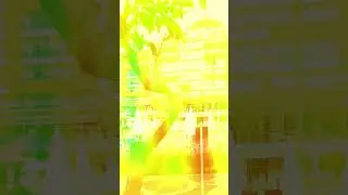 Lonicera Resort & Spa