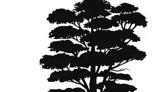 Ento - Shapes of Nature