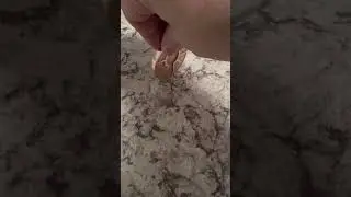 IMG 0037