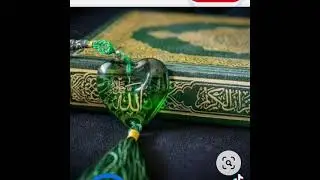 İslam sevgisi