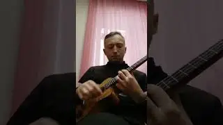 "Secret garden" ukulele cover