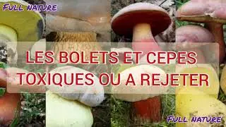 LES BOLETS ET CEPES TOXIQUES OU À REJETER