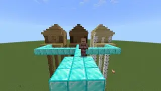 what house will the villager choose