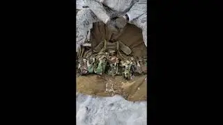woodland contract smersh for ROSN