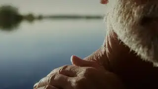 Natürlicher Klimaschutz: Die Fluss-Aue.