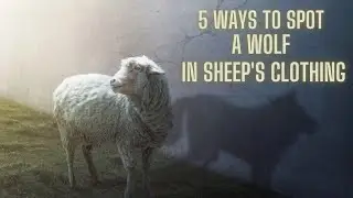 5 Ways to Spot A Wolf In Sheeps Clothing!