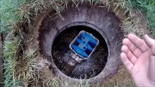 Sewer Fly / Drain Fly Larvae in your septic and what to do about it.
