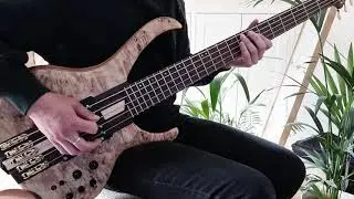 DANCE GAVIN DANCE - LYRICS LIE / BASS COVER
