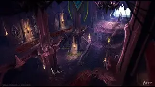 +21 Blackrook Hold - Protection Paladin