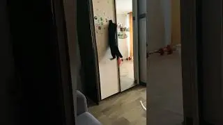 Не отступай не сдавайся ✊👊 !!)))