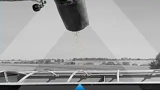 Sounds of Harvest: Combine Unloading in Grain Cart