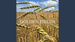 Golden Fields