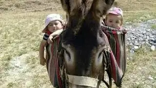 🚙
