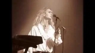 STEVE HACKETT --- 