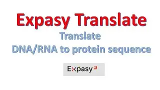 Expasy Translate Tool | Translate DNA/RNA Sequence to Protein Sequence | 