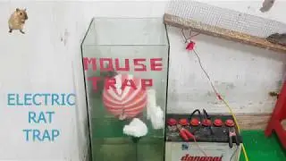 Electric Mouse trap with Battery 12V - Homemade Electric mouse - mouse trap 2019