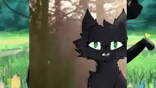 Черная кошка,Черный кот