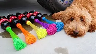 Crushing Crunchy & Soft Things by Car! Puppy Experiment: Car vs Coca Cola & Balloons