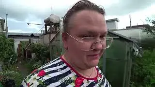 Рукоятка для пистолета. Лёгкий обед без супа. Заколебал дождь. Картошка чернеет. Индюки.