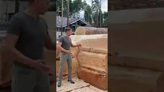 3 вида Рубки на одном Срубе.