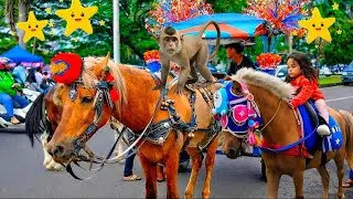 Naik kuda delman Istimewa | Full Lagu Anak-Anak Ceria & Edukatif untuk Si Kecil