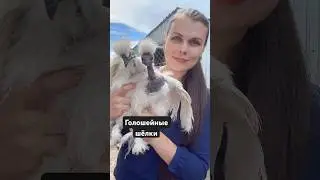 Наш тгк: darindvor2