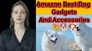 Amazon dog gadgets and accessories 2024 | amazon republic day sale 2024 | prasad tech in telugu |