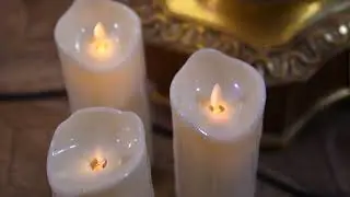 Алина Небыкова - 