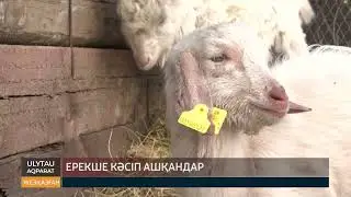 Ерекше кәсіп ашқандар