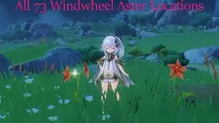 Genshin Impact All 73 Windwheel Aster