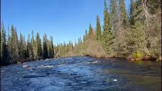 Рыбалка выходного дня .Риб 470 и Мерк 40 джет .