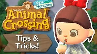 Tips and Tricks I wish I knew before starting New Horizons