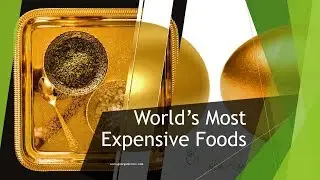 World’s Most Expensive Foods