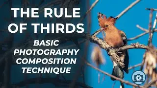 Better Photos in Seconds: The Rule of Thirds Hack