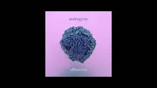 Androgyny — Effloresce (Single)