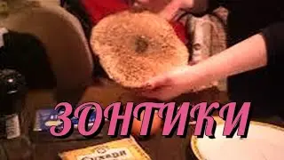 Зонтики. #грибы #рек #рецепт #дарылеса #еда #вкусно #лесныегрибы #жаренныегрибы #дарылеса #вкусно
