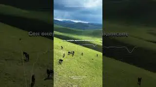 үздік қазақша кавер kazakh cover music beautiful