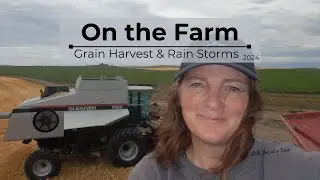 One The Farm Grain and Rain