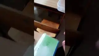 Измерение вредных деток!!! Брюс вылез, Брюс залез.