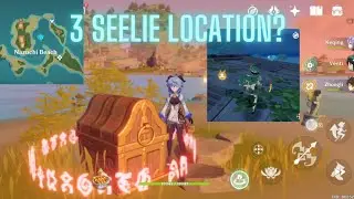 Hidden Seelie Puzzle in Nazuchi Beach - Precious Chest Location - Genshin Impact Inazuma