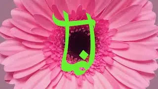 Die Orsons feat. Bushido - Undenkbar