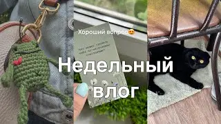 Влог за неделю//Светооотражатель//Связала себе брелок//Покупки