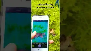 i phone 6s camera review| #shorts #shortvideo