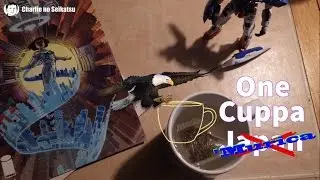 One Cuppa: Sacrifice, Mushroom Rocks, Reverse Culture Shock