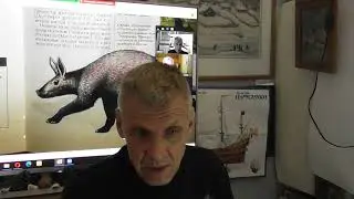 Инволюция: как бывшие люди встали на четвереньки. Александр Белов 19 02 2022 г.